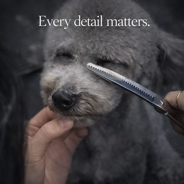 A fluffy dog being carefully groomed with text 'Every detail matters.'