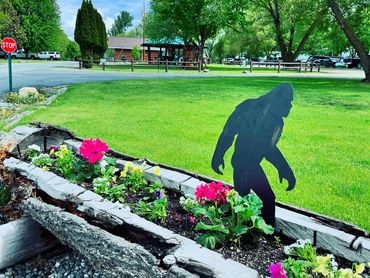 Bigfoot and flowers in tree planter