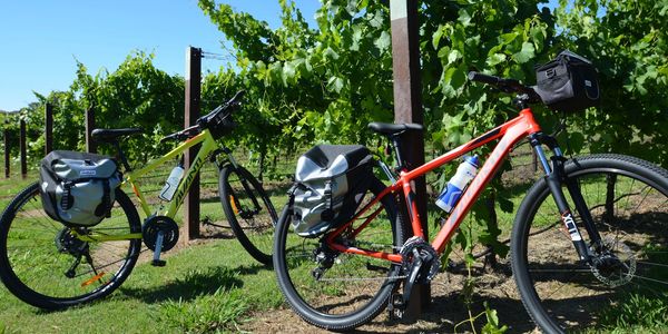 Gourmet-food-winery-cycle-tour