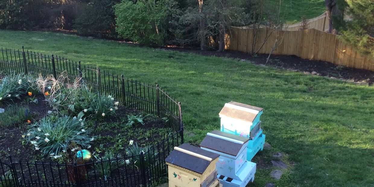 Picture of a yard and garden with three colorfully painted beehives. 