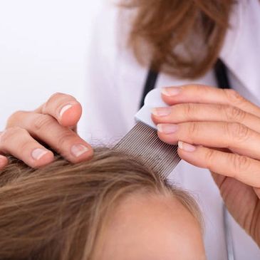 Head Lice Comb Combing Through Hair