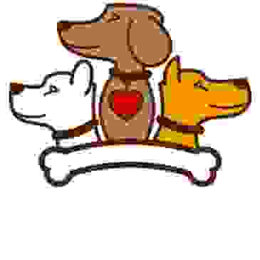 The Perfect Pup Rescue