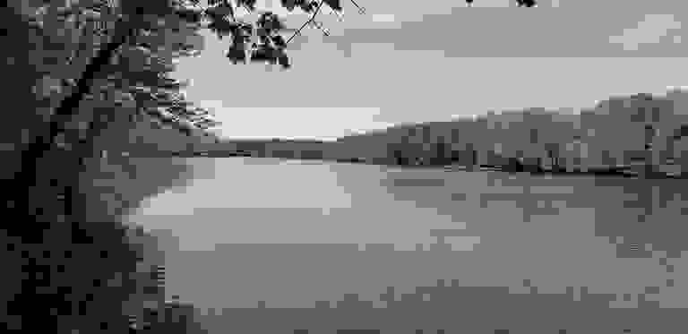 The river view