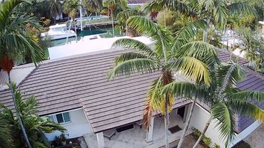 Tile roof 
Slate Tile Roof