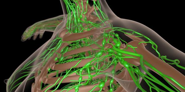lymphatic drainage