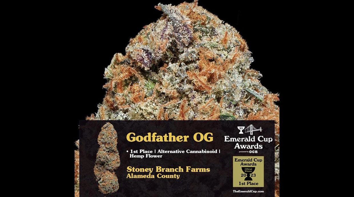 Buy Big Dog Exotic Cannabis Seeds Online