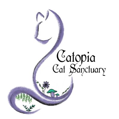 Sponsoring Rescue Cats at Catopia Cat Sanctuary