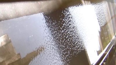 Osmosis caused by carpet bunks.