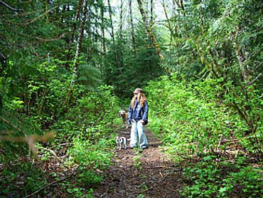 late morning walk on Harmony Lodge property