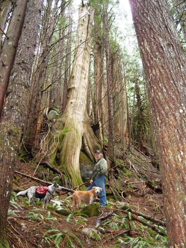 walk with your on the serene trails of Harmony Lodge property