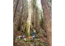 walk the Harmony Lodge trails with your dog