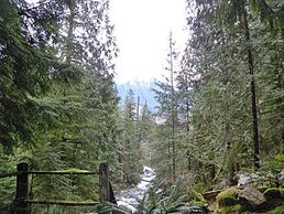 Index Creek view from Harmony Lodge deck