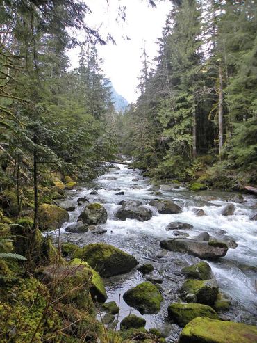 Index Creek flowing through the Harmony Lodge valley
