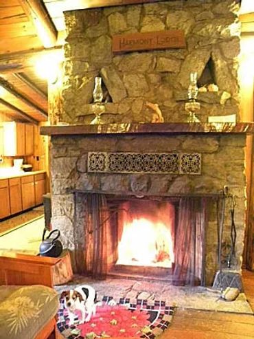 dog pet friendly WA cabin rental