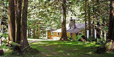 sweet sunny time at Harmony Lodge