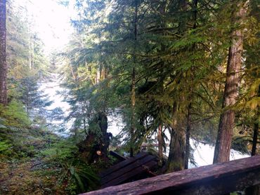 the Index Creek flowing past Harmony Lodge