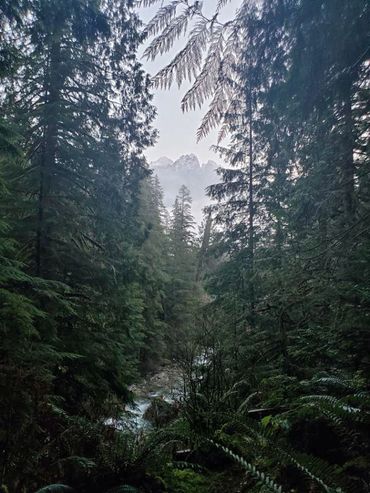 view of Index Creek from Harmony Lodge in the early morning