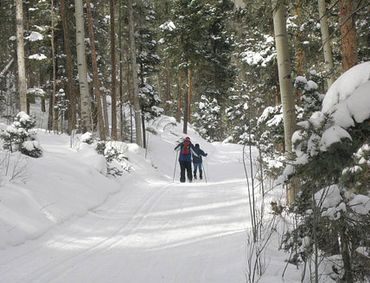 Bring snowshoes to walk your own Harmony Lodge trail