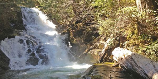 lower falls near Harmony Lodge