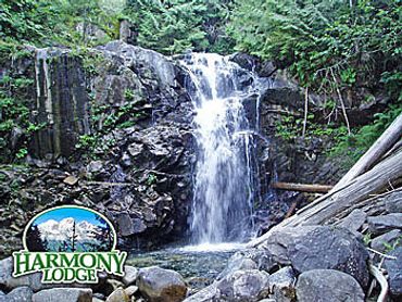one of the numerous waterfalls on Harmony Lodge property
