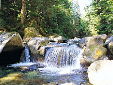 vacation lodging in WA State