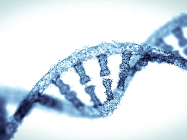 Close-up of a DNA double helix structure with a missing piece.