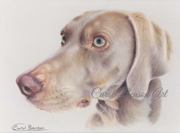 Coloured pencil on Light Grey Pastlemat.