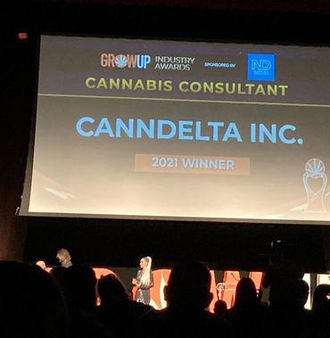 An award winning consultant takes the stage at the 2021 cannabis consultant awards in Niagara Falls.