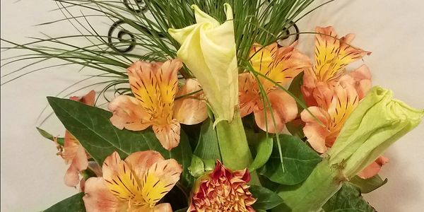 Judy Thompson, CT justice of the peace, CT JP, wedding officiant, non-denominational minister