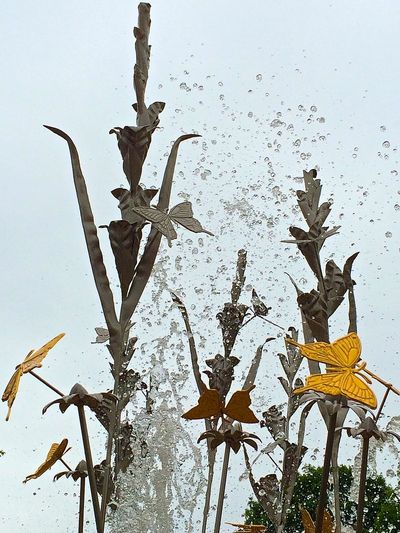Memorial fountain designed by artist Lisa Barrett