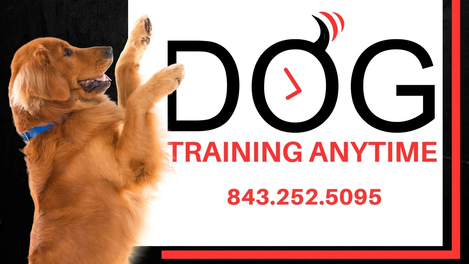 Dog Training in Myrtle Beach: A Comprehensive Guide for Pet Owners