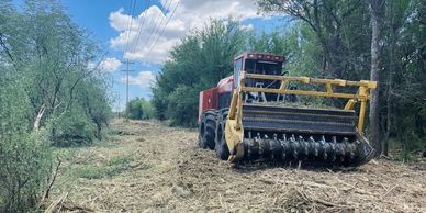 A red forestry mulcher clearing vegetation between trees under a blue sky.