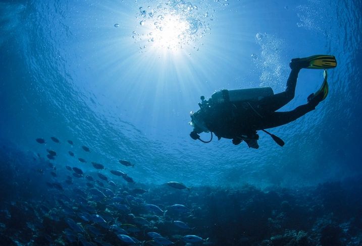 Dive Hervey Bay with Us