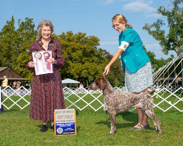 Tara GSP - 2022 Macungie New Grand Champion
Watisa's Journey is a Gift of Fate