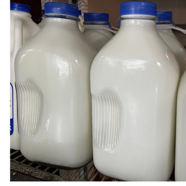 Plastic gallon jugs filled with milk on a shelf.