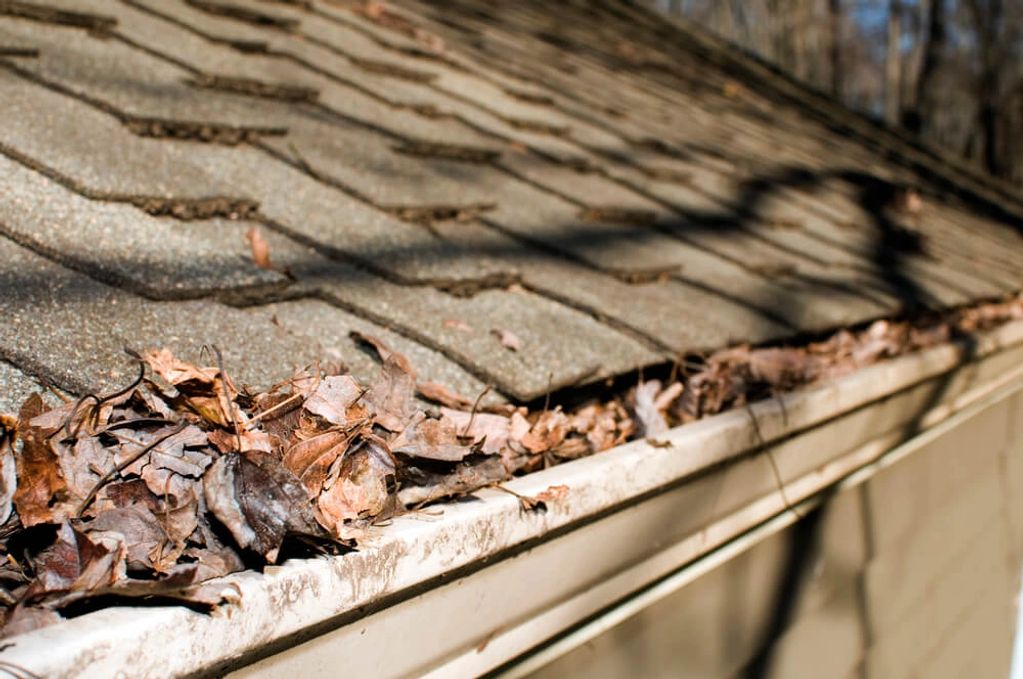 Gutters stuck with leaves.