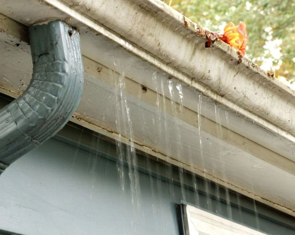 Gutters leaks for excess leaves.