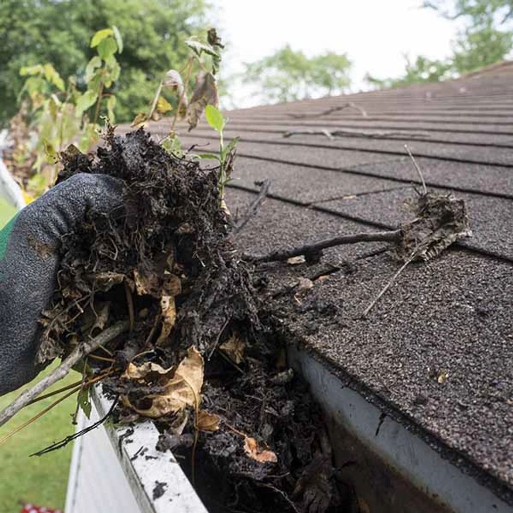 Cleaning of gutters.