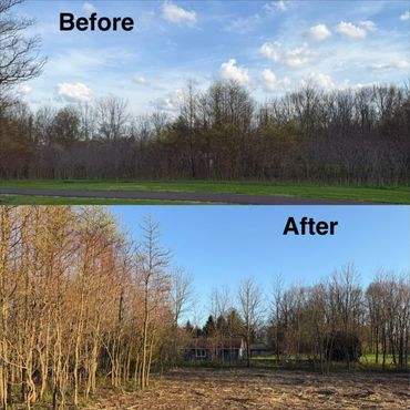 A property we cleared that was overgrown by brush and small trees. Customers were happy with the res