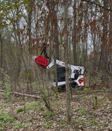 This picture is Jeff at work clearing brush, sassafras scrub trees, briers and invasive species fro