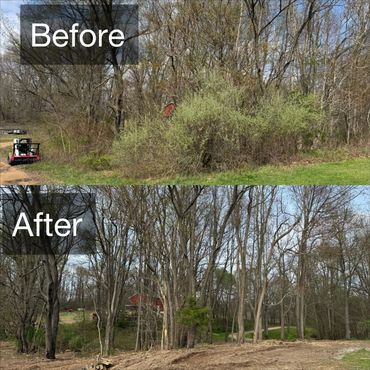 This is a property that we worked. The customer was excited aa immediately after clearing the proper