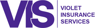 Violent Insurance Services (VIS)