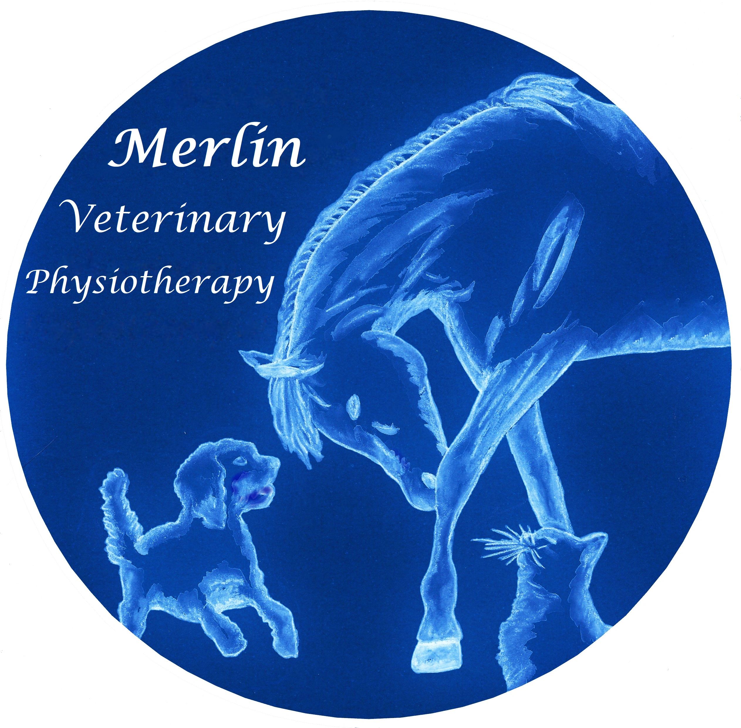 Vet physio