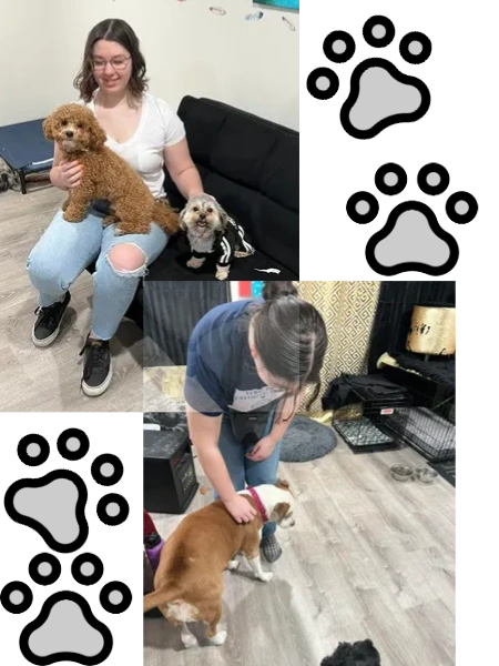 Liz with a few of the daycare pups: Kash & Neyo. Check out more internship info in the gallery.