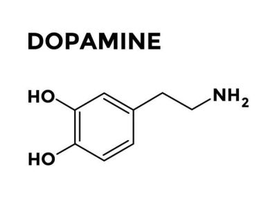 brain-performance-optimization
