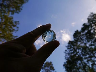 Hand holding a glass sphere reflecting the sky and trees.
