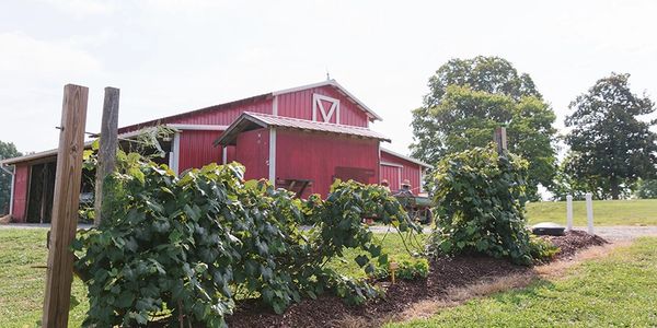 Carolina Farms - GHA Autism Supports
