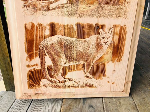 Custom 3D Engraved Cabinet Doors