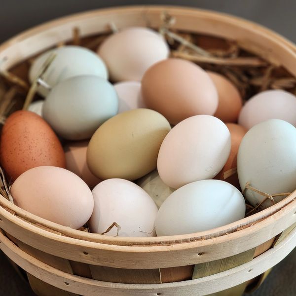 farm fresh eggs in a basket