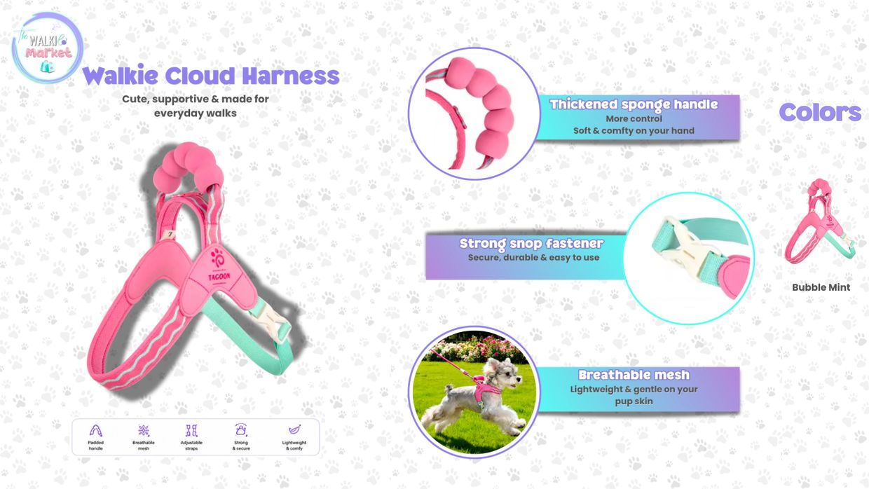 Walkie Cloud Harness with thickened sponge handle and breathable mesh for comfortable daily dog walks.